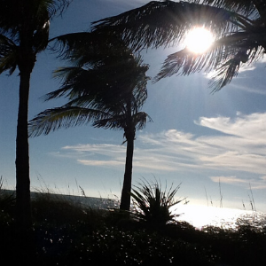 Captiva Island FL  Best beachs best shelling in the world sugary sand
